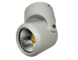 Downlight led Maccus 6W biały barwa światła biały ciepły 3000K