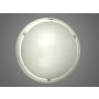 Plafon LED Caega 16W DW z czujnikiem MV IP54 IK10 - 4