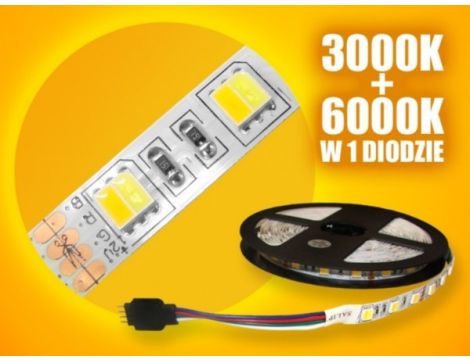 Taśma LED SMD5050 12V 5m/300diod IP20 3000K+6000K (biały ciepły+biały zimny)