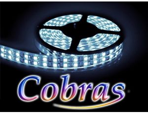 Taśma LED COBRAS SMD3528 24V 5m/1200diod IP20 biała zimna 6500K