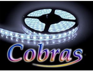 Taśma LED COBRAS SMD3528 12V 5m/300diod IP20 biała zimna 6500K