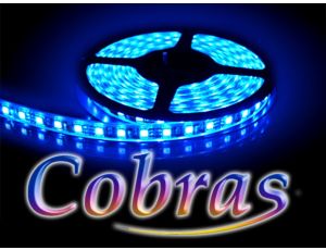 Taśma LED COBRAS SMD3528 12V 5m/300diod IP20 niebieska