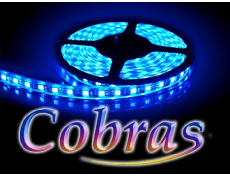 Taśma LED COBRAS SMD3528 12V 5m/300diod IP20 niebieska