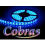 Taśma LED COBRAS SMD3528 12V 5m/300diod IP20 niebieska - 2