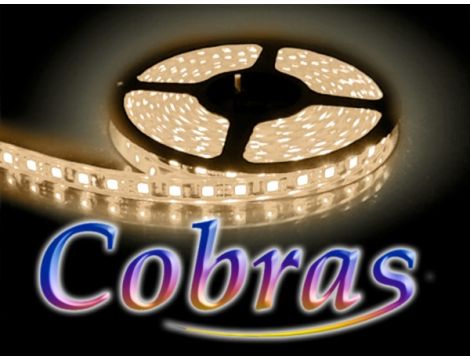 Taśma LED COBRAS SMD5050 12V CC 5m/300diod IP20 biała ciepła 3000K