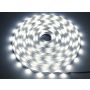 Taśma LED Premium SMD2835 24V 50m 120LED/m IP20 biała neutralna 4000K - 2