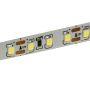 Taśma LED Premium SMD2835 12V 50m 120LED/m IP20 biała zimna 6000K - 4