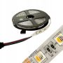 Taśma LED Premium SMD5050 12V RGBCW 5m/150diod IP20 multikolor+biały zimny - 4