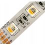 Taśma LED Premium SMD5050 12V RGBCW 5m/150diod IP20 multikolor+biały zimny - 3