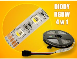 Taśma LED Premium SMD5050 12V RGBCW 5m/300diod IP20 multikolor+biały zimny