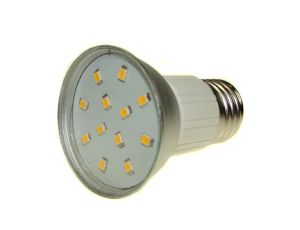 Żarówka LED PRIN E27 12x2835 2W WW