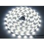 Taśma LED Premium SMD2835 24V 100m 120LED/m IP20 biała neutralna 4000K - 2