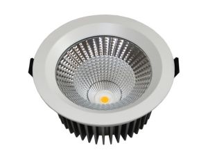 Downlight LED Davels oświetlenie podtynkowe 30W 2700K Citizen IP65 biały